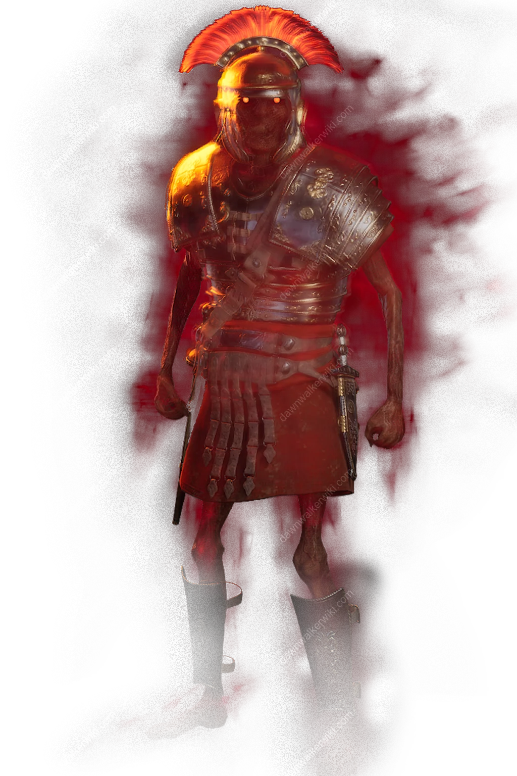 Anachora Warrior