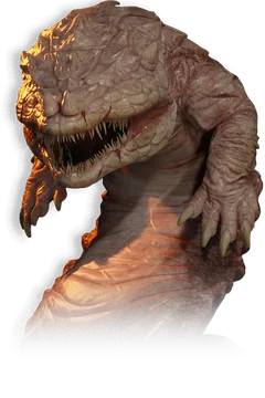 Salamander