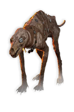 Undead Dog