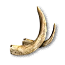 Boar Tusks