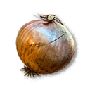 Onion