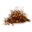Razkovniche Plant